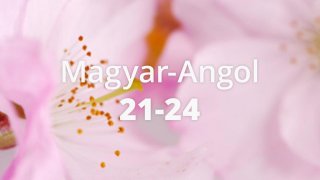 Magyar-Angol 21-24 START csomag A/VI.