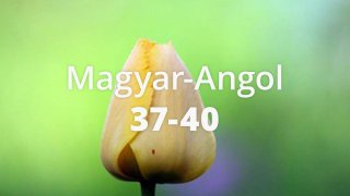 Magyar-Angol 37-40 START csomag A/X.